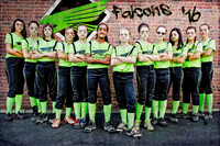 Falcons Black (BE)